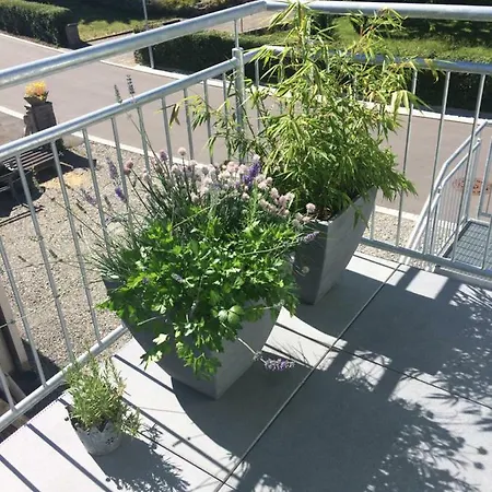 Ferienwohnung Walk *